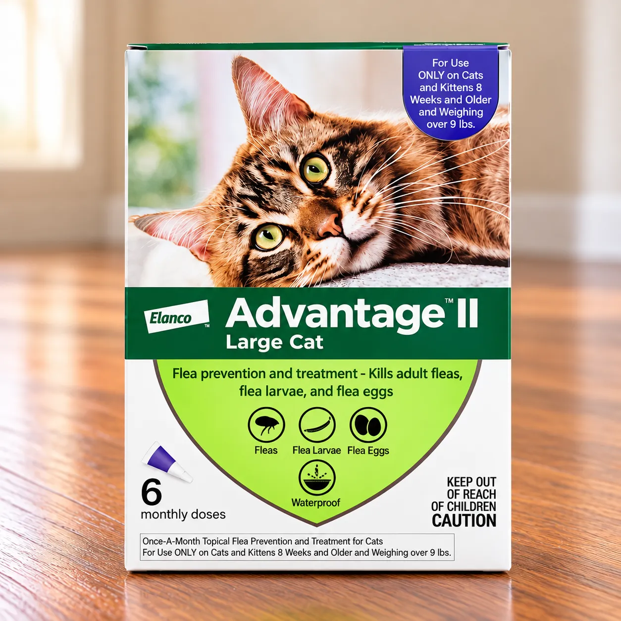 Cat Toys and Enrichment