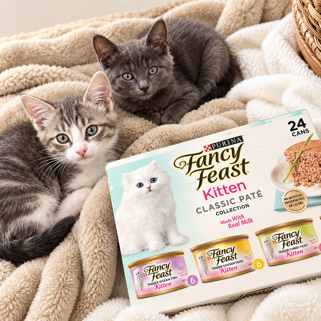 Cat Food and Feeding